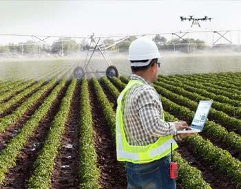 Agronomist with a laptop inspecting an open strawberry field